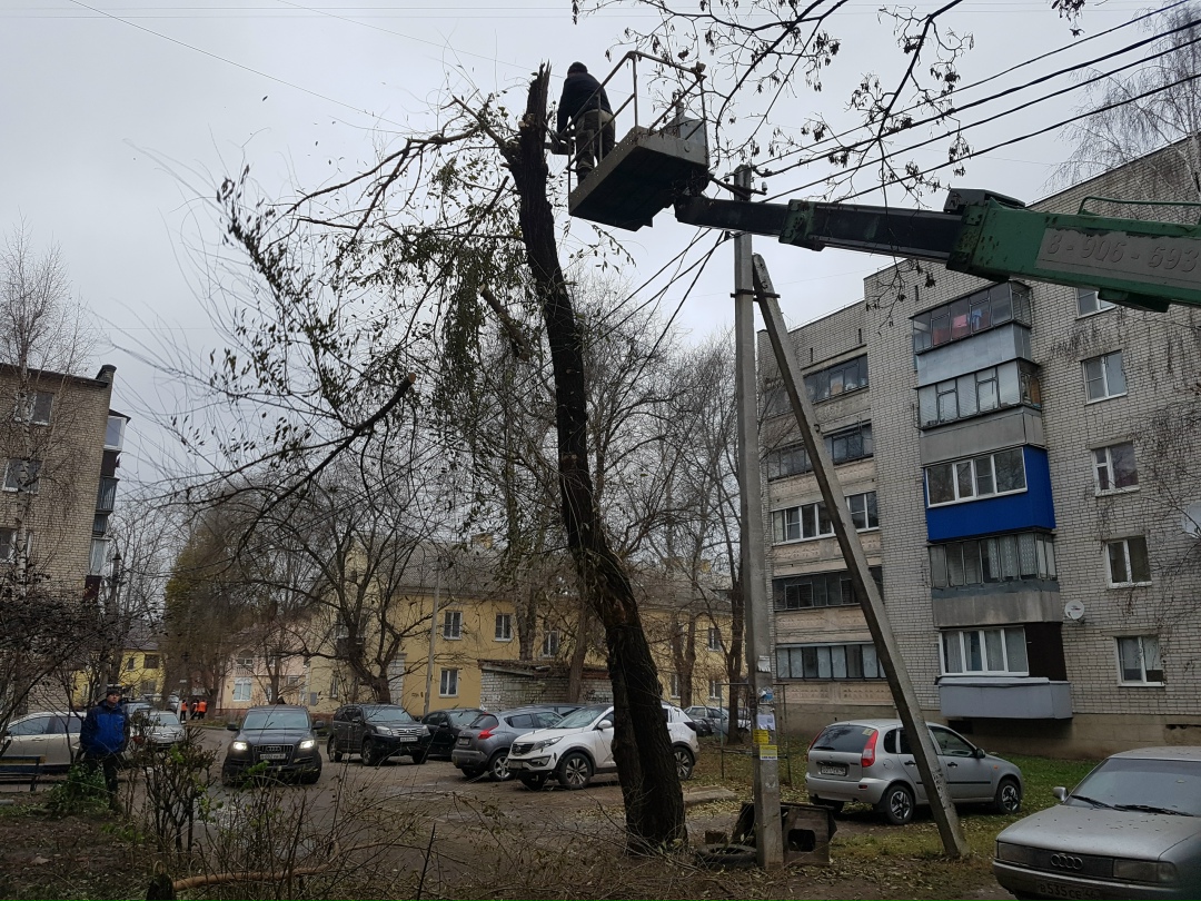 Спил деревьев