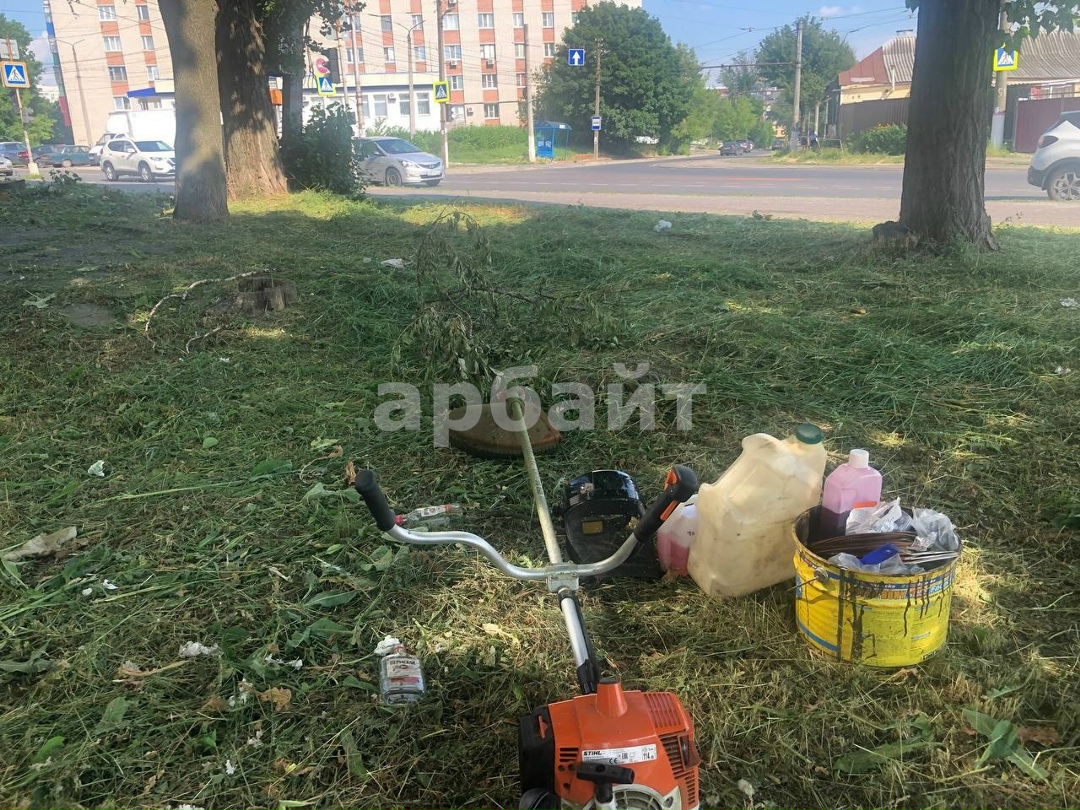 Покос травы
